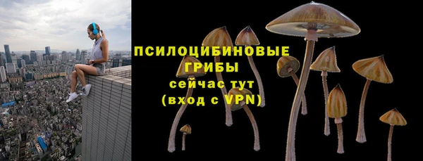 гашик Волоколамск