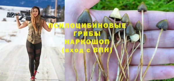 ГАЛЛЮЦИНОГЕННЫЕ ГРИБЫ Наволоки